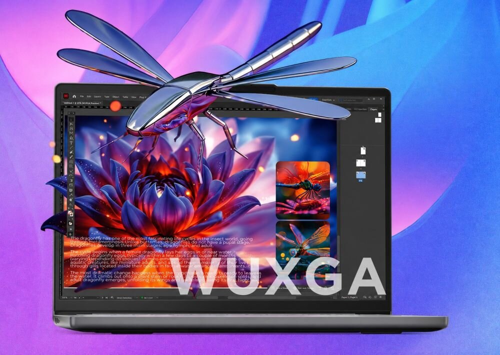 Laptop z ekranem WUXGA wyświetla kolorową grafikę ważki wychodzącej poza ekran podczas pracy kreatywnej i projektowania 