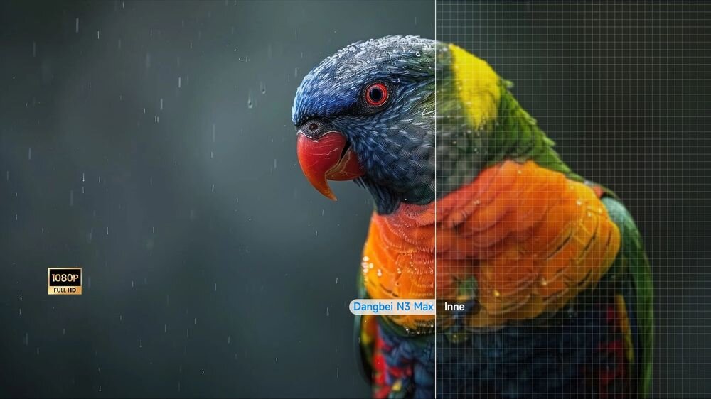 Projektor DANGBEI N3 Max natywna rozdzielczość Full HD 1080p wysoka ostrość obrazu widoczne detale, obraz papugi w korplach deszczu