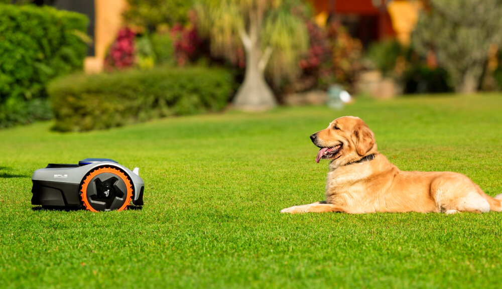 Na trawniku znajduje się robot koszący z widocznym logo SEGWAY oraz pies leżący obok niego. W tle widać rozmytą roślinność.