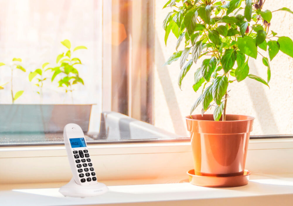 Na parapecie stoi biały telefon bezprzewodowy z niebieskim wyświetlaczem oraz doniczka z zieloną rośliną. W tle widać okno z widokiem na zewnątrz.