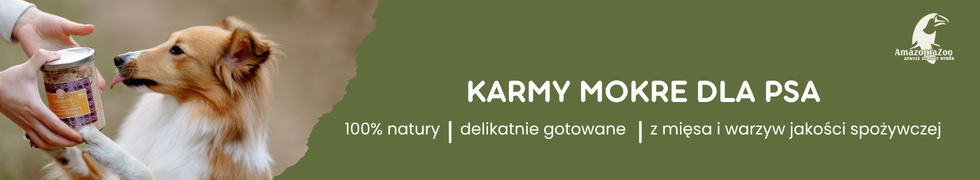 Osoba trzyma puszkę karmy dla psa, a pies patrzy na nią. Tekst na zielonym tle: \'KARMY MOKRE DLA PSA 100% natury | delikatnie gotowane | z mięsa i warzyw jakości spożywczej\'.