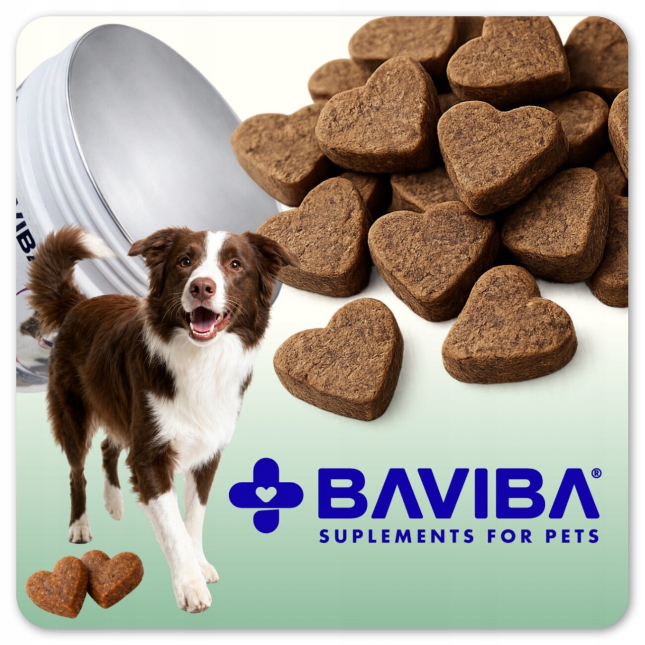 Na obrazie widoczny jest brązowy pies oraz sercowate przysmaki dla zwierząt. W tle znajduje się napis \'BAVIBA SUPPLEMENTS FOR PETS\'.
