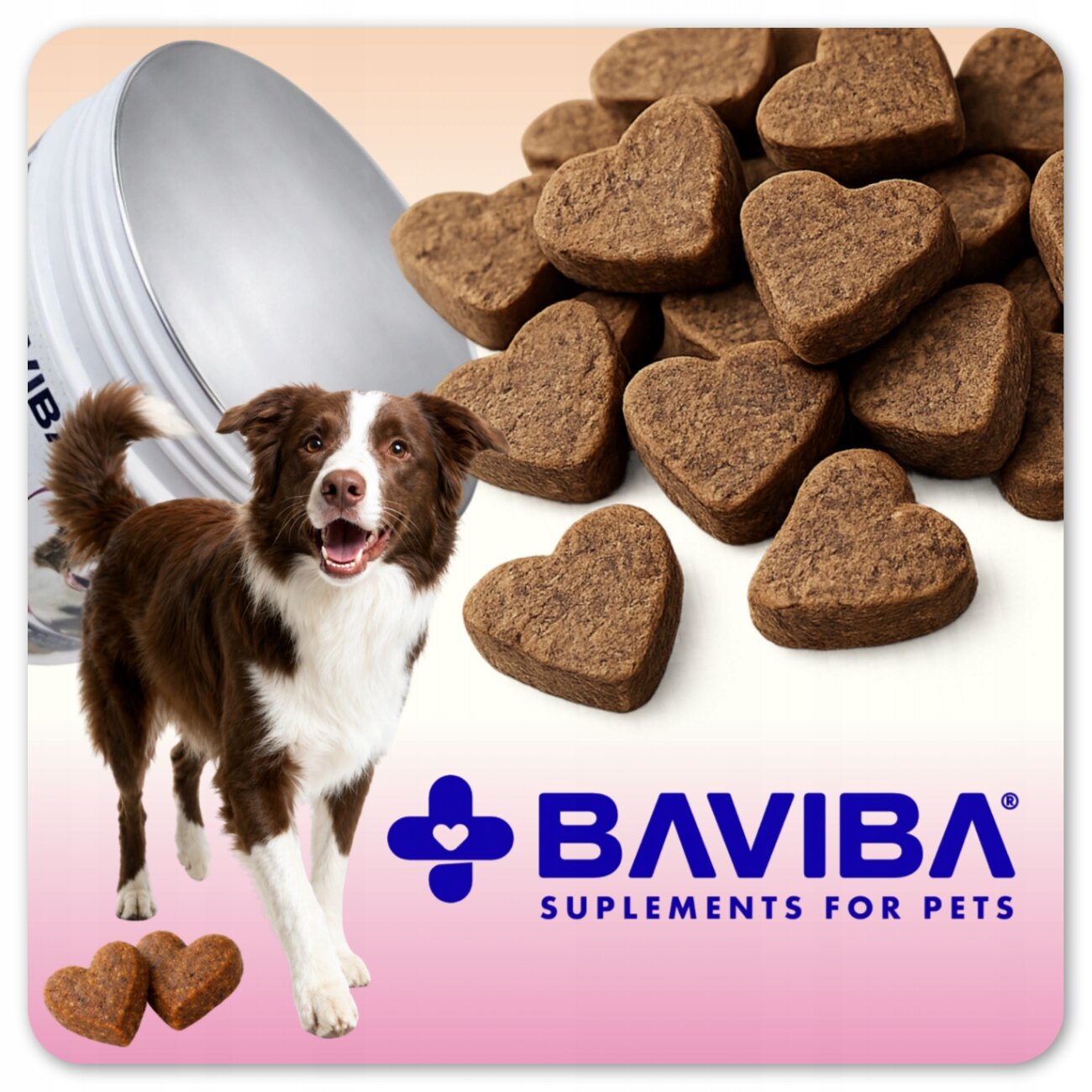 Na obrazie widoczny jest brązowy pies oraz suplementy w kształcie serc. Logo BAVIBA SUPLEMENTS FOR PETS znajduje się na dole obrazu.