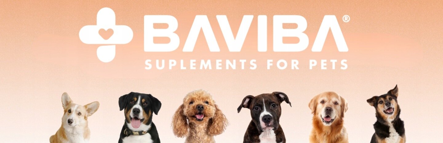 Na obrazie widoczne jest logo \'BAVIBA SUPLEMENTS FOR PETS\' na tle w odcieniach pomarańczowego. Przed logo znajduje się sześć psów różnych ras.