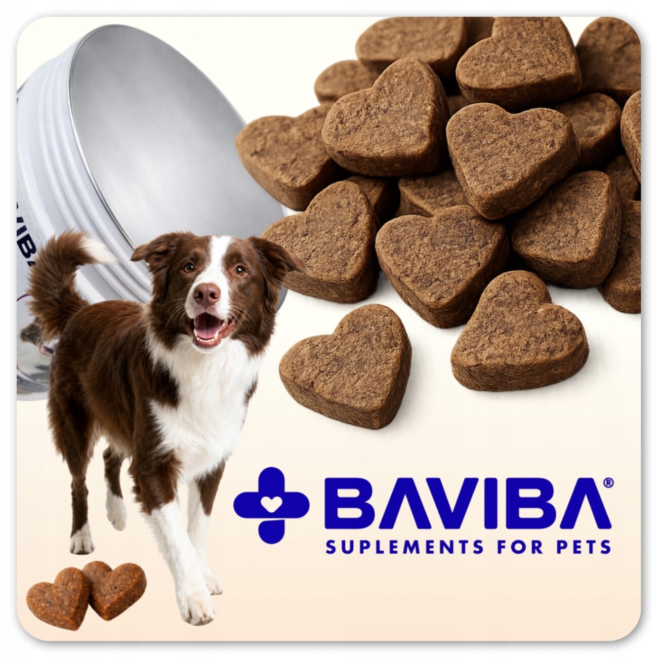 Na obrazie widoczne są brązowe suplementy w kształcie serc oraz pies. Obok znajduje się napis \'BAVIBA SUPPLEMENTS FOR PETS\'.