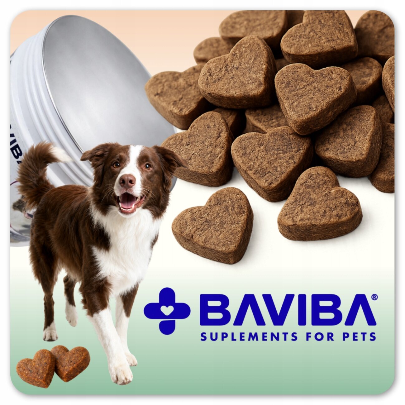 Na obrazie widoczny jest pies oraz suplementy w kształcie serc. Logo \'BAVIBA SUPLEMENTS FOR PETS\' znajduje się na dole obrazu.