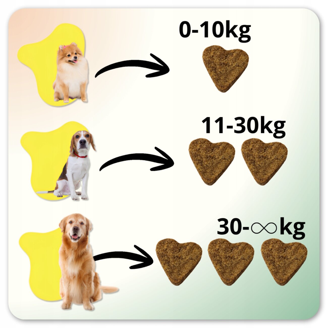 Obraz przedstawia trzy psy różnej wielkości z przypisanymi ilościami sercowatych przysmaków: 0-10kg - jeden przysmak, 11-30kg - dwa przysmaki, 30-∞kg - trzy przysmaki.