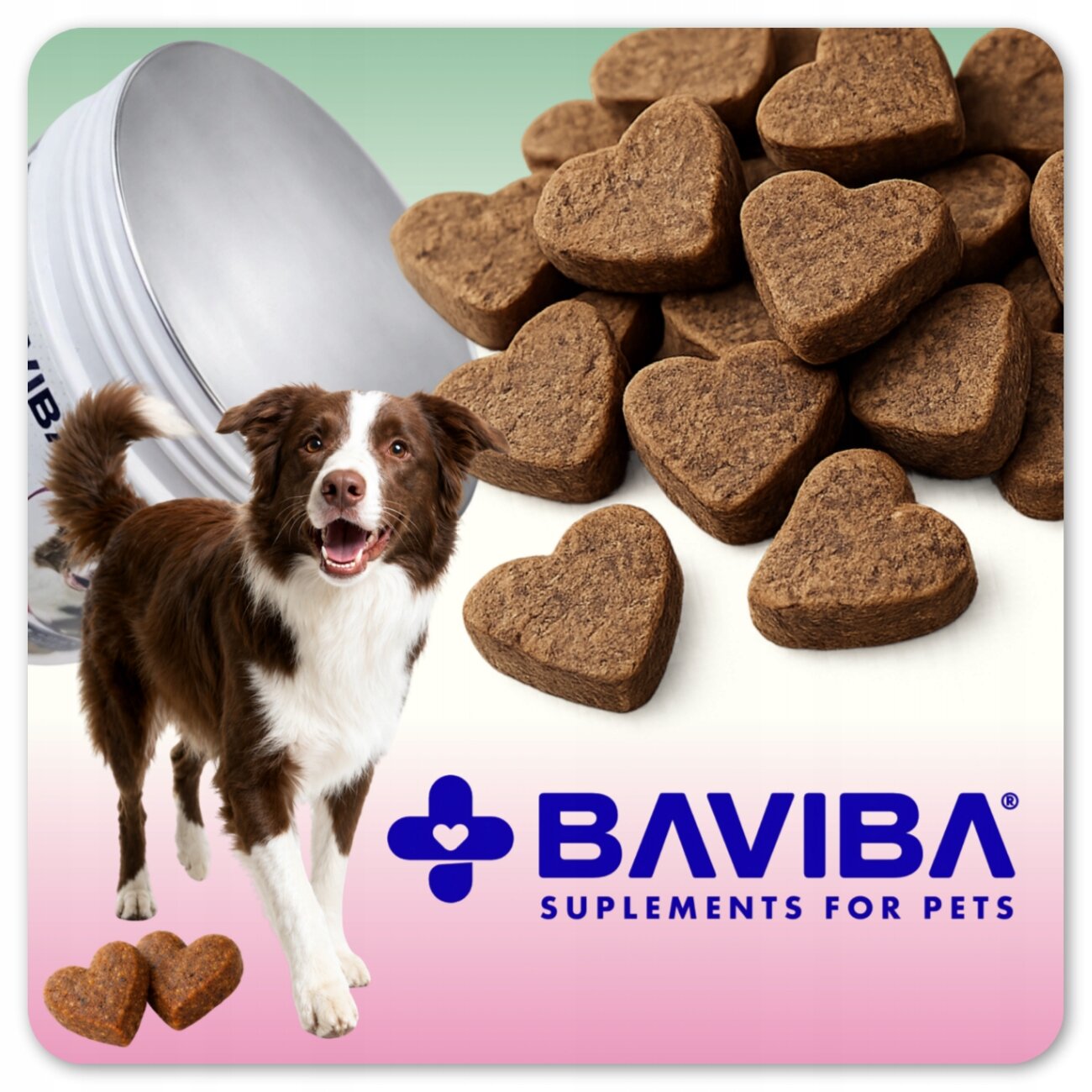 Na obrazie widoczny jest pies oraz suplementy w kształcie serc. Logo BAVIBA SUPPLEMENTS FOR PETS znajduje się na dole obrazu.