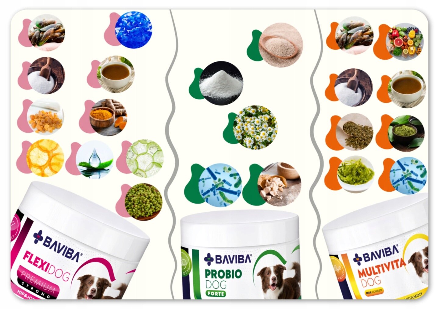 Obraz przedstawia trzy opakowania suplementów dla psów marki BAVIBA: FlexiDog, ProbioDog i MultivitaDog. W tle widoczne są różne składniki w okrągłych ikonach, takie jak zioła, proszki i płyny.