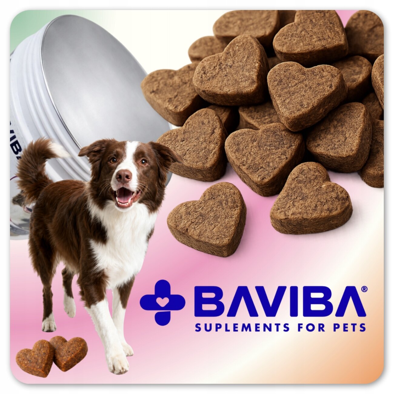Na obrazie widoczny jest pies oraz sercowate przysmaki dla zwierząt. Logo BAVIBA z napisem \'SUPPLEMENTS FOR PETS\' znajduje się na dole obrazu.