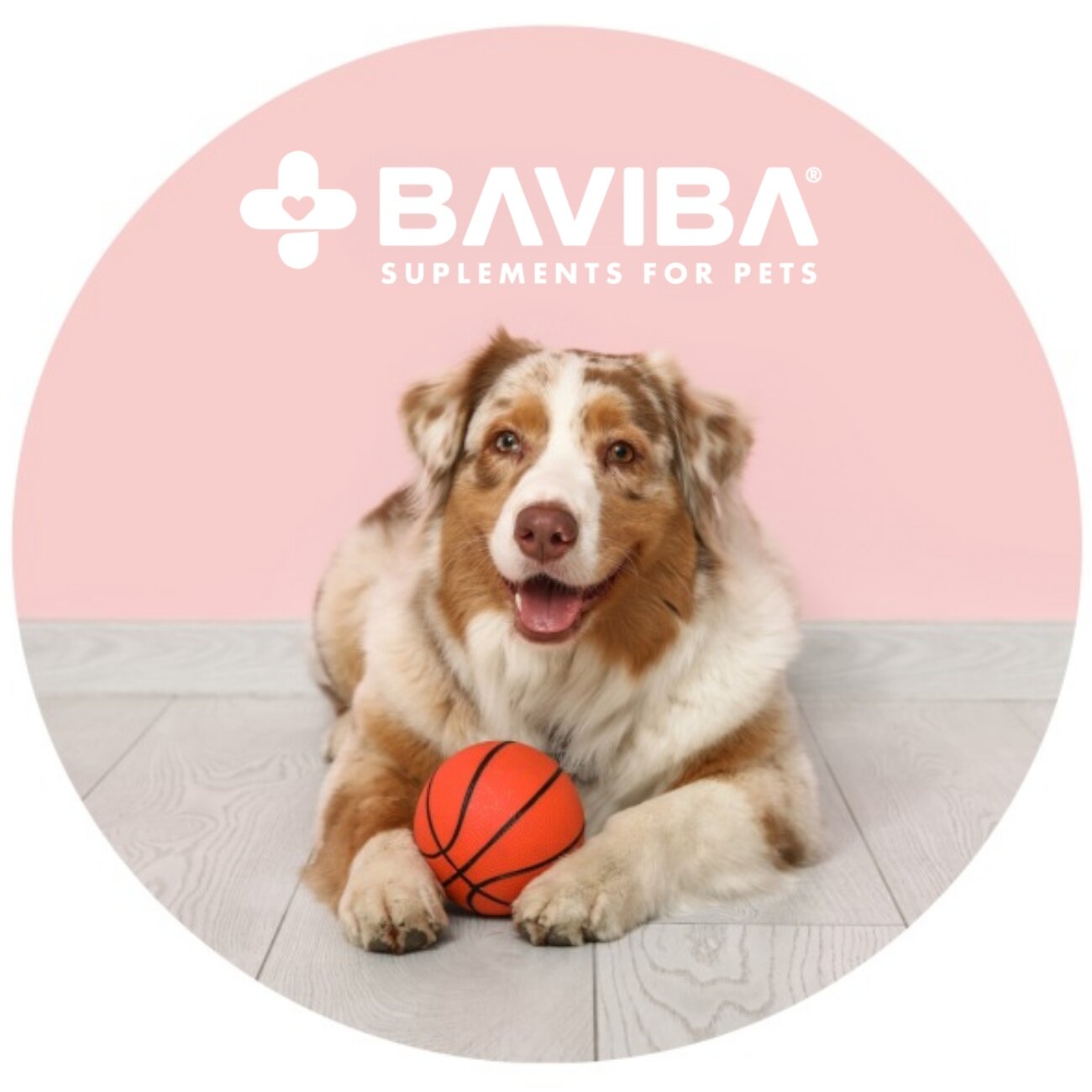 Pies leży na podłodze z pomarańczową piłką, a w tle widoczna jest różowa ściana. Na górze obrazu znajduje się logo \'BAVIBA SUPLEMENTS FOR PETS\'.