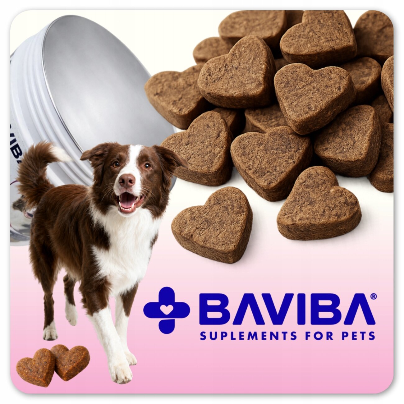 Na obrazie widoczne są brązowe przysmaki w kształcie serc oraz pies stojący obok otwartego pojemnika. Na dole znajduje się logo \'BAVIBA SUPPLEMENTS FOR PETS\'.