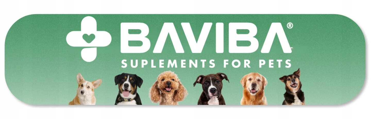 Obraz przedstawia logo \'BAVIBA SUPLEMENTS FOR PETS\' na zielonym tle z sześcioma psami różnych ras poniżej napisu.
