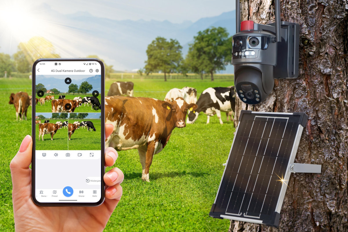 Na obrazie widać rękę trzymającą smartfon z aplikacją \'4G Dual Kamera Outdoor\', pokazującą obraz z kamery na tle pastwiska z krowami. Obok na drzewie zamontowana jest kamera z panelem słonecznym.