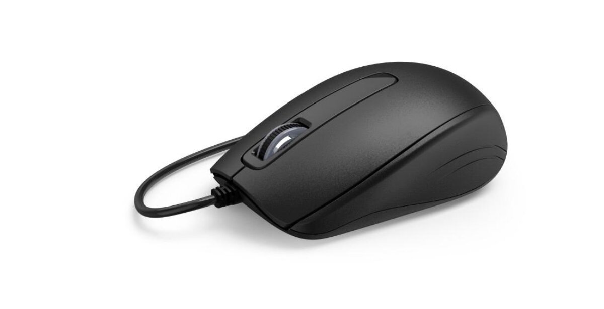 zdjęcie zestawu przewodowego Cortino   