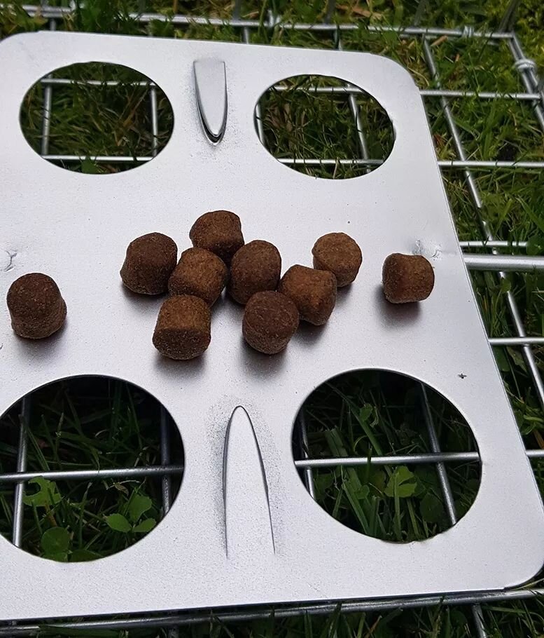 Na metalowej kratce leży prostokątna blacha z czterema okrągłymi otworami, na której znajduje się kilka brązowych granulek. W tle widoczna jest trawa.