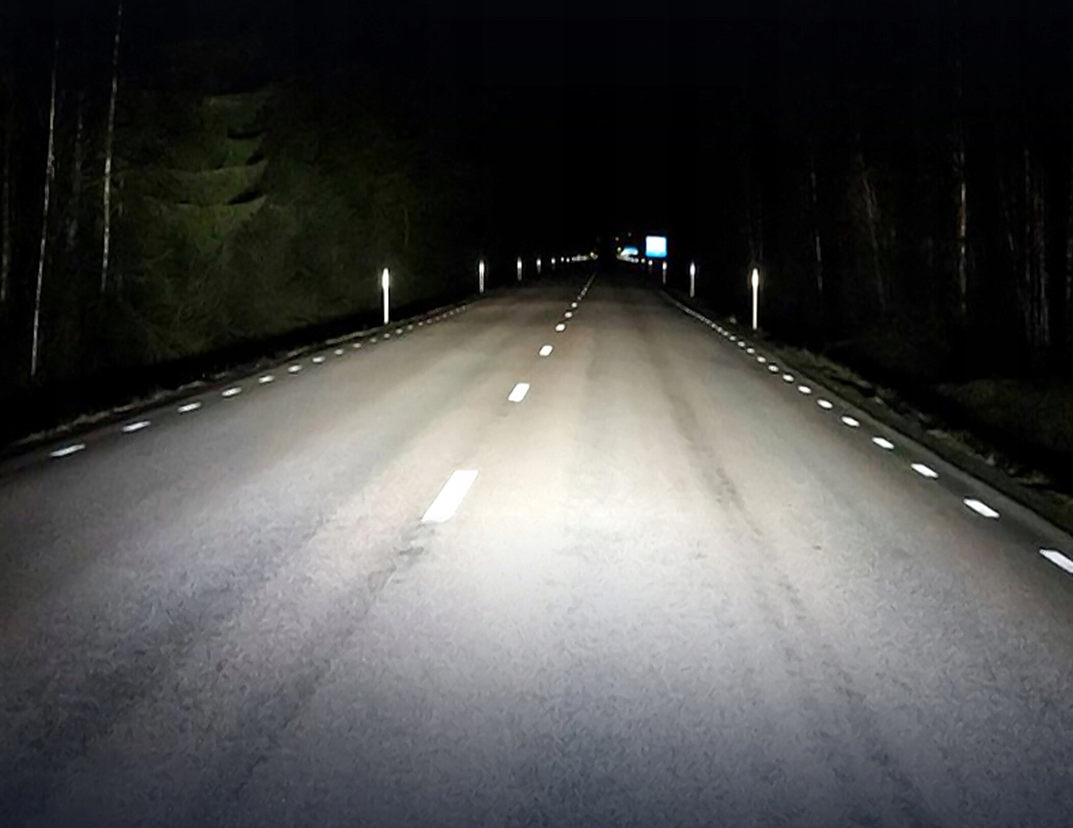 Nocna droga oświetlona reflektorami samochodowymi, z widocznymi liniami przerywanymi pośrodku i ciągłymi po bokach. W tle widać ciemny las i niewyraźny znak drogowy.