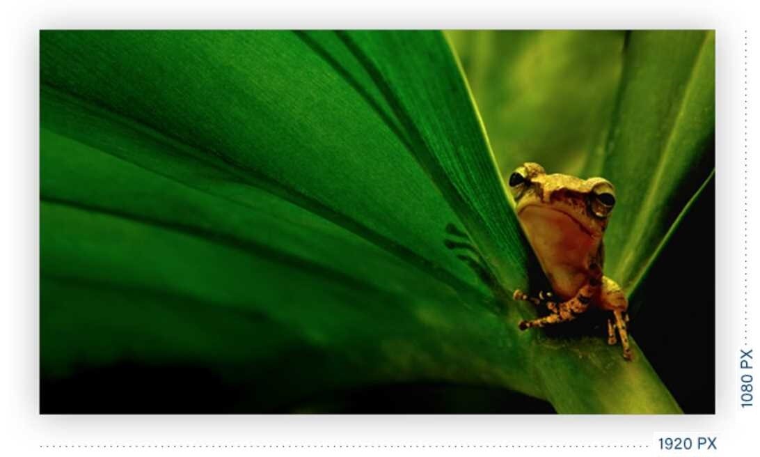 Monitor AOC 22P1 - Full HD  