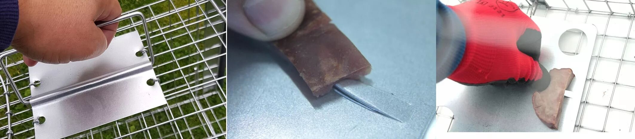 Trzy zdjęcia przedstawiające szczegóły metalowej pułapki na zwierzęta: uchwyt na kratce, rękę trzymającą kawałek mięsa nad ostrzem oraz rękę w czerwonej rękawicy umieszczającą mięso na metalowej powierzchni.