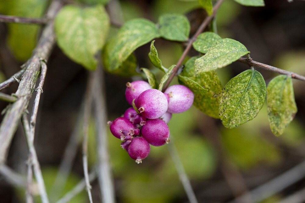 Obiektyw SIGMA 105 mm f-2.8 EX DG OS HSM Macro powłoki hydrofobowe olejoodporne łatwe czyszczenie
