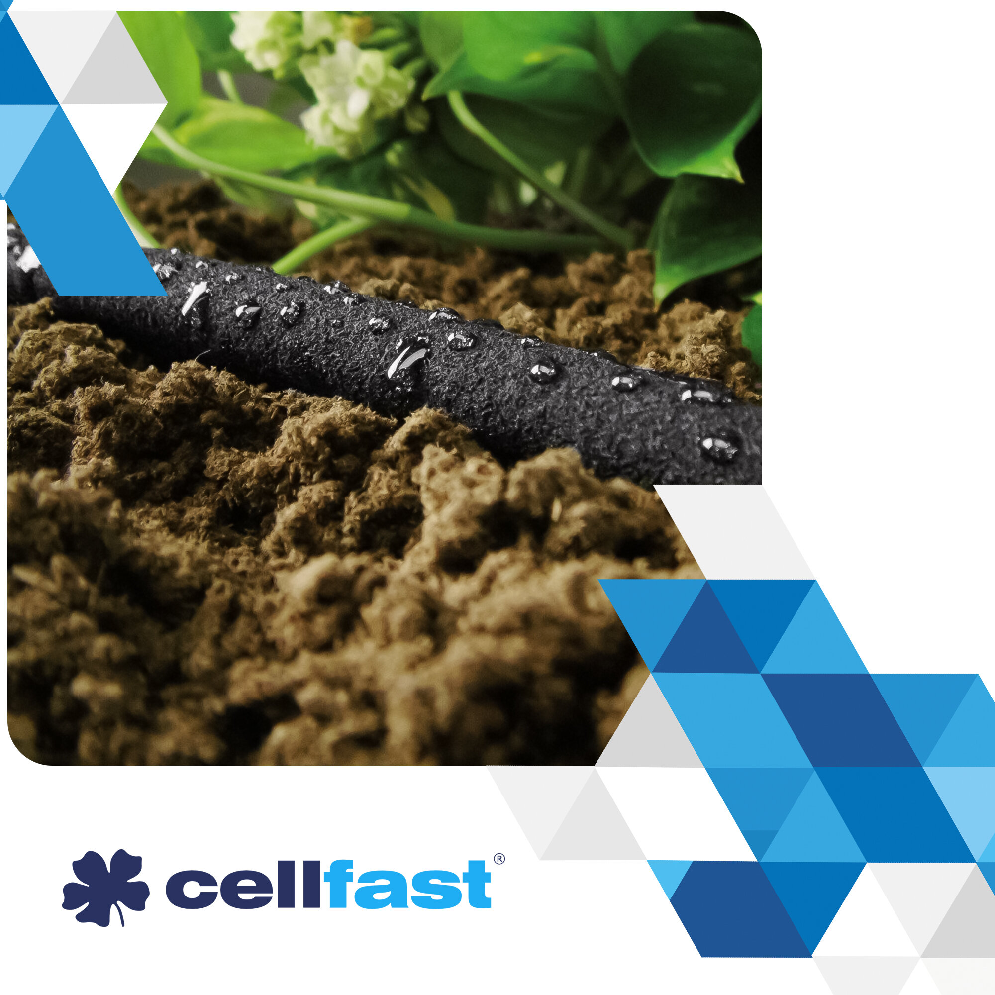 Czarny wąż nawadniający z kroplami wody leży na ziemi, w tle widoczne są zielone liście. W prawym dolnym rogu znajduje się logo \'cellfast\'.