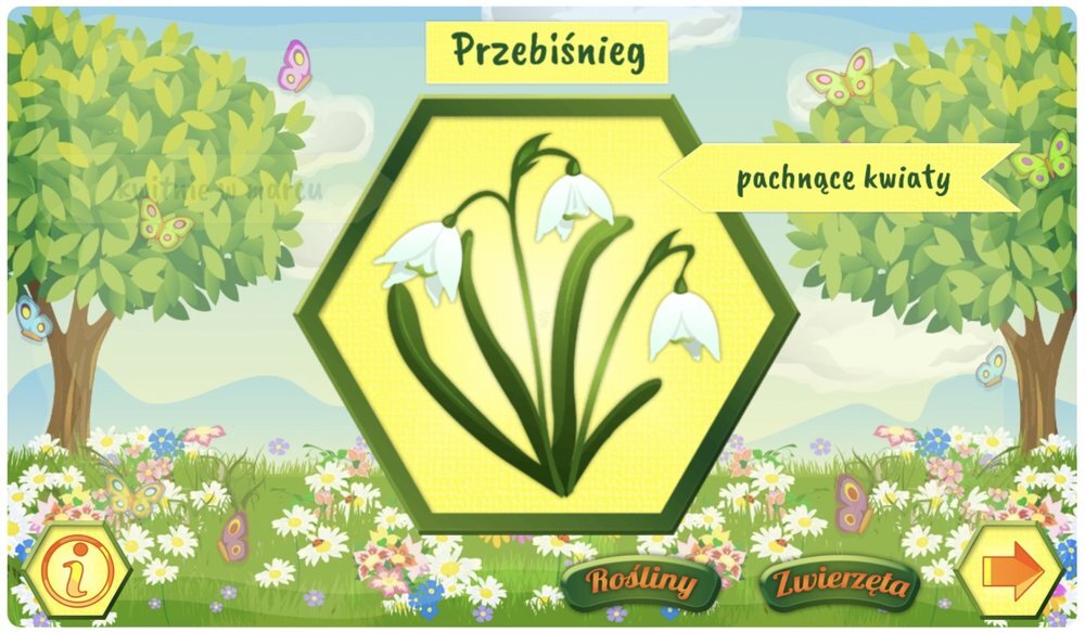 Ilustracja przedstawia przebiśnieg na żółtym tle w kształcie sześciokąta. W tle widoczne są drzewa, kwiaty i motyle, a na górze napis \'Przebiśnieg\' oraz \'pachnące kwiaty\'.