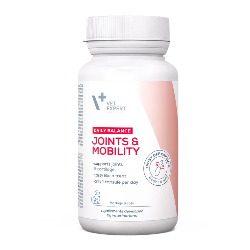 Biała butelka z etykietą zawierającą tekst: \'Vet Expert Daily Balance Joints & Mobility\'. Na etykiecie znajdują się informacje o wsparciu stawów i chrząstek oraz łatwości użycia kapsułek Twist Off.