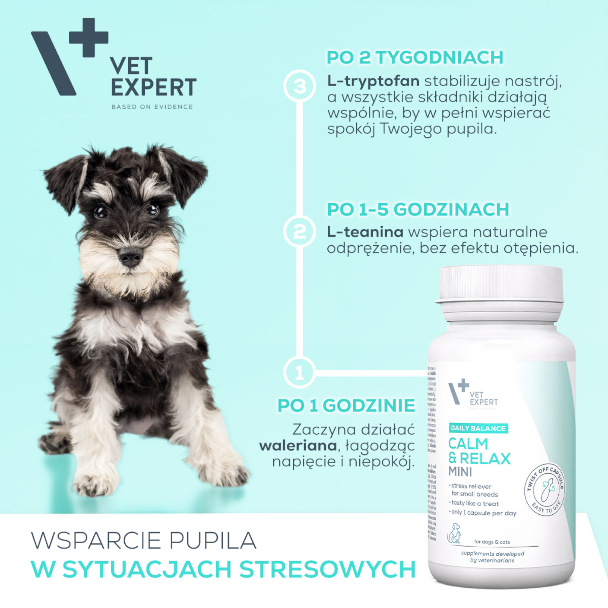 Obraz przedstawia psa oraz opakowanie produktu Vet Expert Calm & Relax Mini. Tekst informuje o działaniu składników produktu w różnych odstępach czasu: po 1 godzinie, 1-5 godzinach i 2 tygodniach, oraz o wsparciu pupila w sytuacjach stresowych.