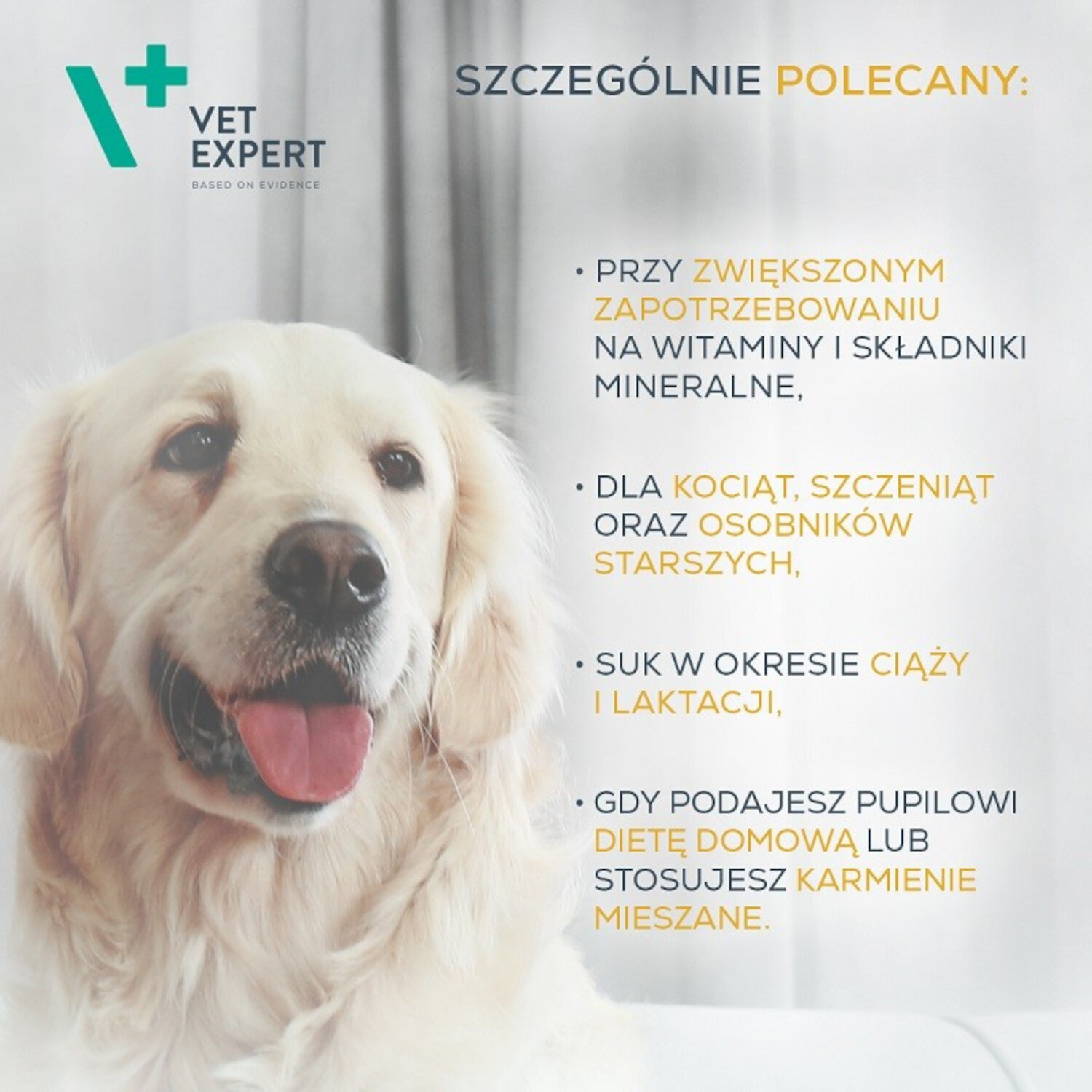 Obraz przedstawia psa oraz tekst: \'Vet Expert. Szczególnie polecany: przy zwiększonym zapotrzebowaniu na witaminy i składniki mineralne, dla kociąt, szczeniąt oraz osobników starszych, suk w okresie ciąży i laktacji, gdy podajesz pupilowi dietę domową lub stosujesz karmienie mieszane.\'