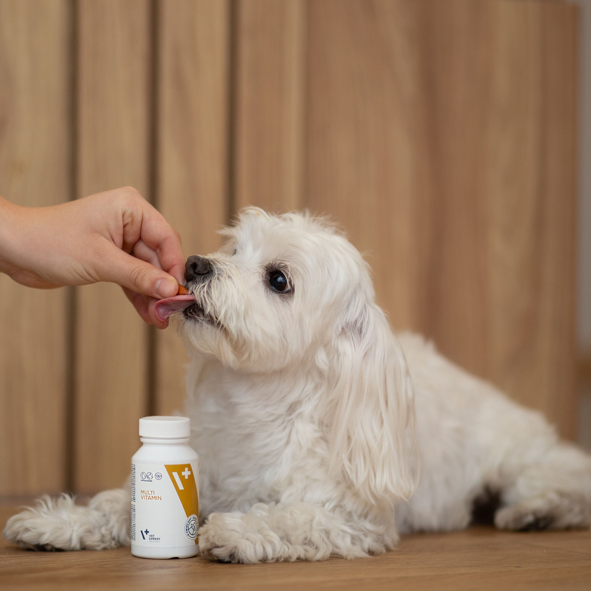Na drewnianym tle widać białego psa, który otrzymuje kapsułkę z ręki. Obok psa stoi biały pojemnik z etykietą \'MULTI VITAMIN\'.
