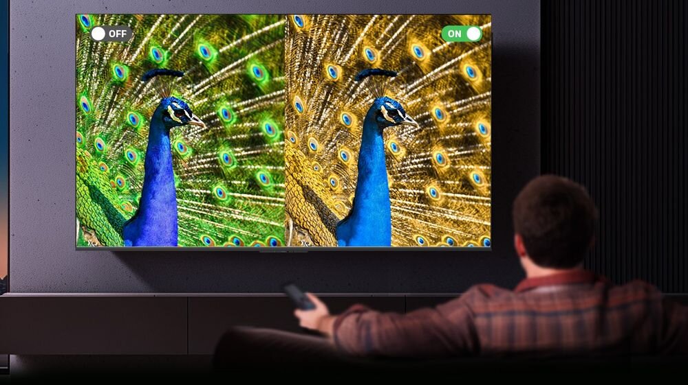 Na ekranie telewizora widać obraz pawia z rozłożonym ogonem, podzielony na dwie części z oznaczeniami \'OFF\' i \'ON\'. Przed telewizorem siedzi osoba trzymająca pilot.