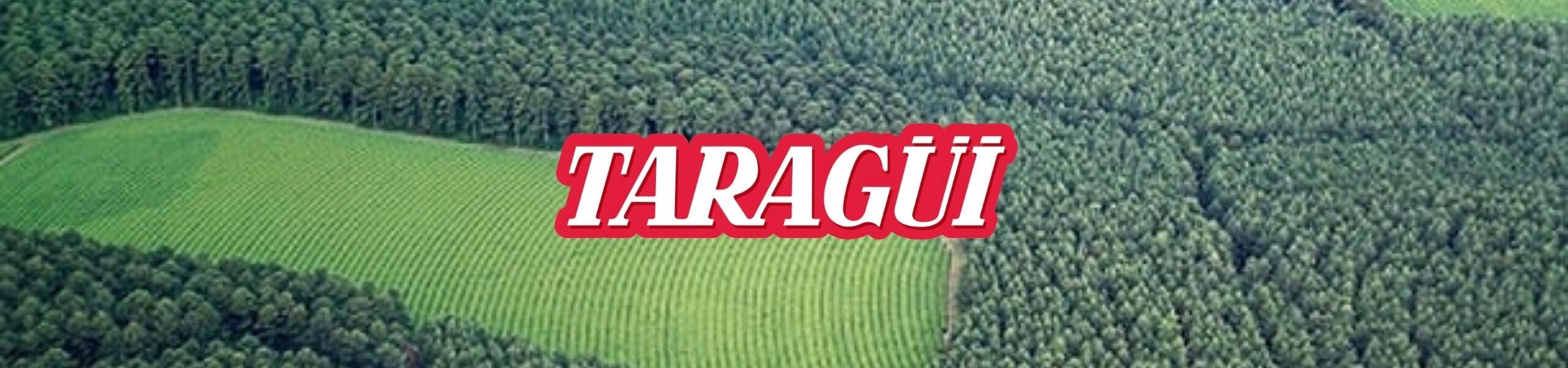 Na obrazie widoczny jest las oraz pole uprawne, a na środku znajduje się napis \'TARAGÜI\'.
