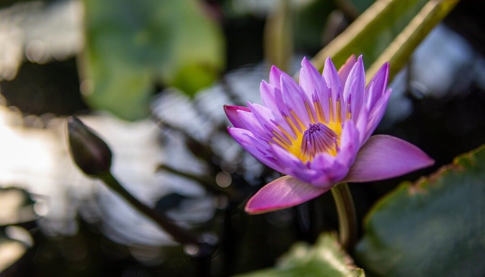 Obiektyw SIGMA Digital C 30mm f-1.4 DC DN Odporny