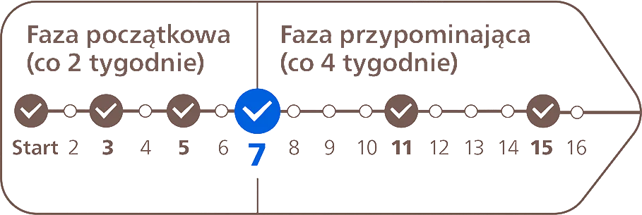 Diagram przedstawia harmonogram fazy początkowej (co 2 tygodnie) i fazy przypominającej (co 4 tygodnie) z zaznaczonymi punktami kontrolnymi od 1 do 16 tygodnia. W 7 tygodniu znajduje się niebieski znacznik z symbolem zaznaczenia.