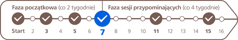 Harmonogram zabiegów przedstawiony na osi.
