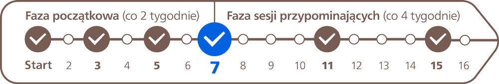 Harmonogram zabiegów przedstawiony na osi.