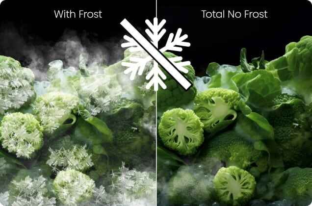 Obraz przedstawia porównanie dwóch stanów mrożenia brokułów: po lewej stronie z oszronieniem (\'With Frost\'), a po prawej bez oszronienia (\'Total No Frost\'). Na środku znajduje się symbol płatka śniegu przekreślony linią.