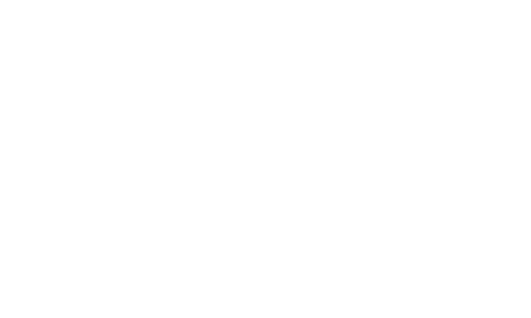 Logo z napisem \'Amica for living\' na białym tle.