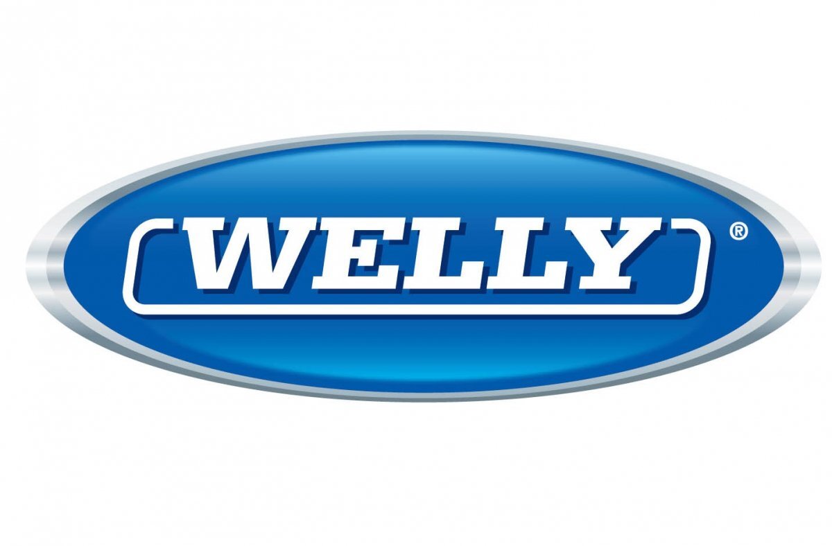 Logo w kształcie niebieskiego owalu z białym napisem \'WELLY\' pośrodku.