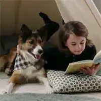 Dziecko leży na poduszce i czyta książkę obok psa w pomieszczeniu.