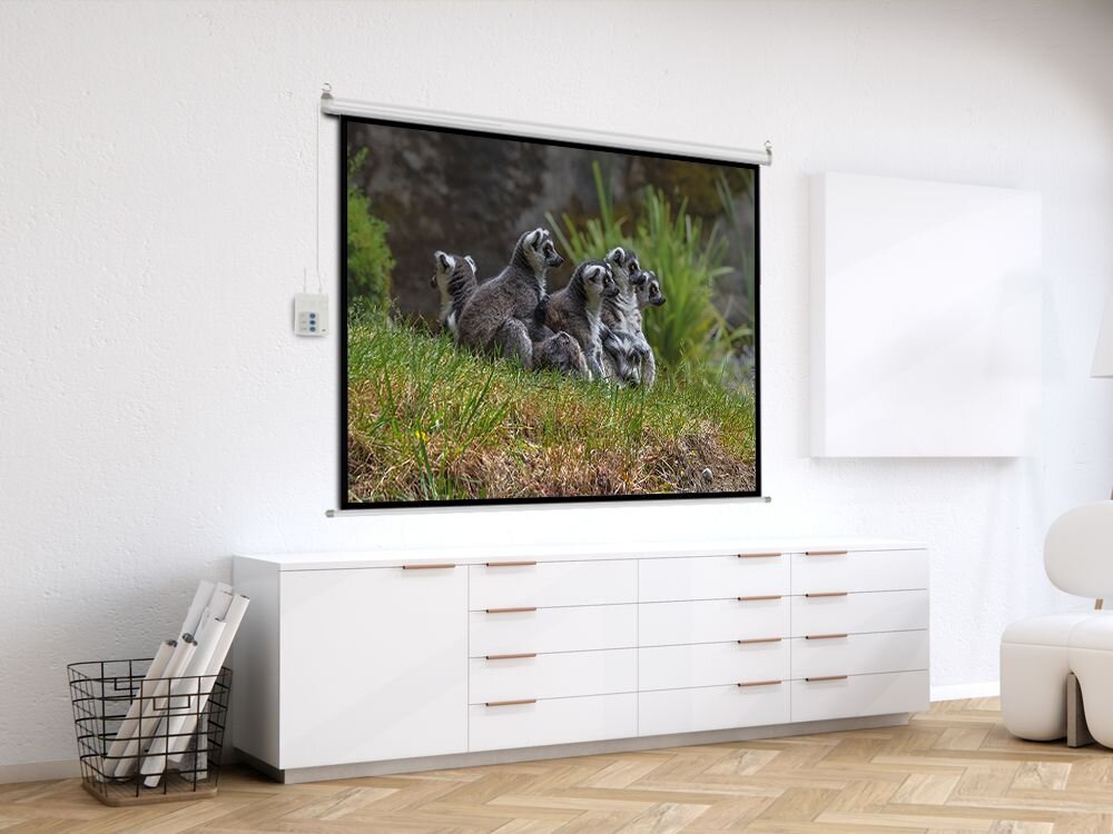 Na ścianie wisi ekran projekcyjny, na którym wyświetlany jest obraz kilku lemurów siedzących na trawie. Pod ekranem znajduje się biały mebel z szufladami.