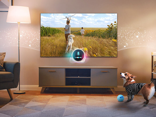 W salonie na ścianie wisi telewizor, na którym wyświetlany jest obraz dwóch osób biegnących przez pole. Obok telewizora stoi lampa, a na podłodze bawi się pies z piłką.