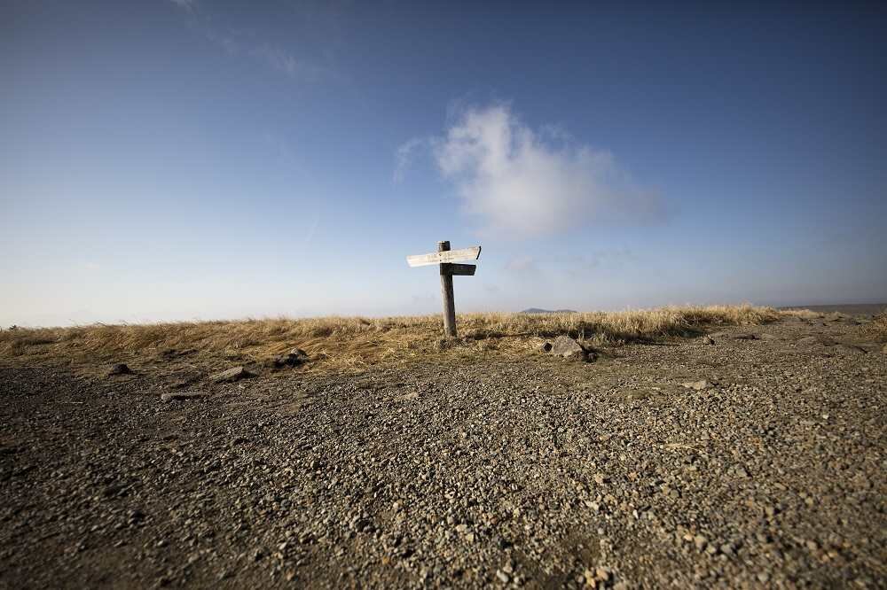 Obiektyw SIGMA A 14mm f-1.8 DG HSM Wszechstronność