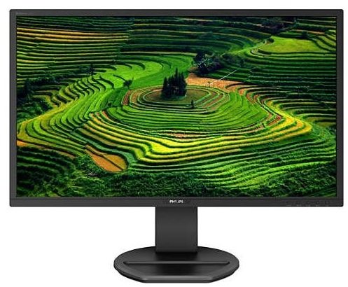 Monitor PHILIPS 241E1SCA - Flicker-free