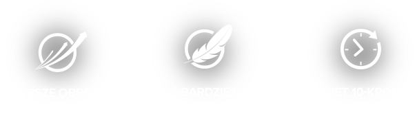 Profesjonalny silnik AC