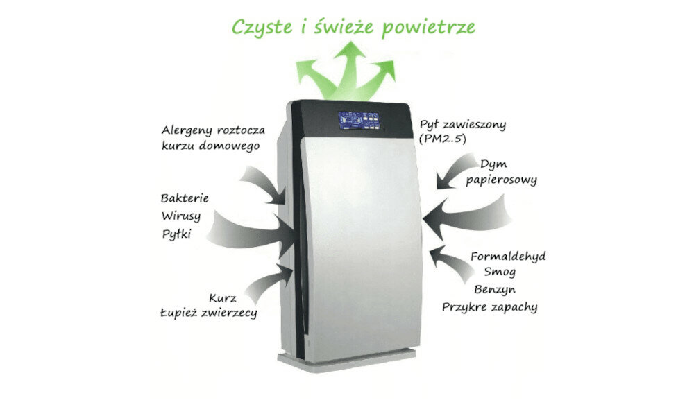 lokówka wyglad ogolny i cechy