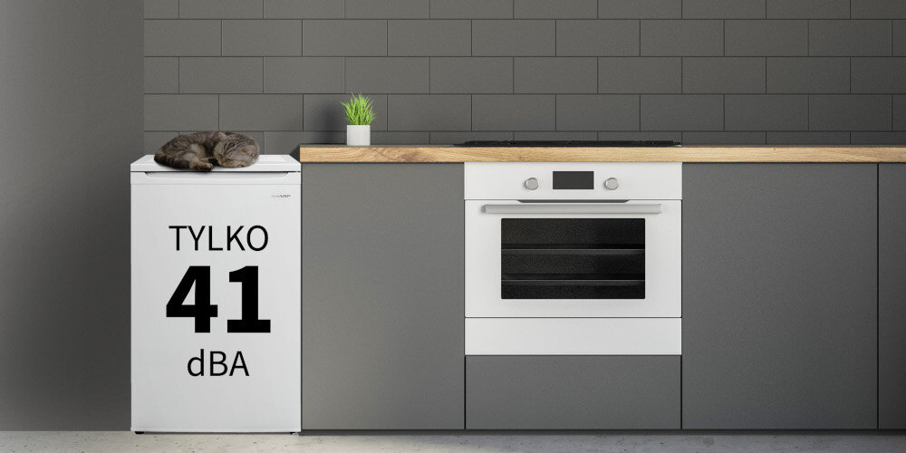 Biała lodówka z napisem \'TYLKO 41 dBA\' stoi obok szarej zabudowy kuchennej z piekarnikiem. Na lodówce leży szary kot, a na blacie stoi mała roślina w doniczce.