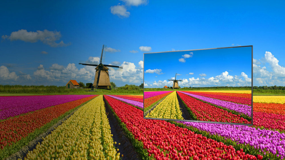 Telewizor PANASONIC TXFX780E  - kolory