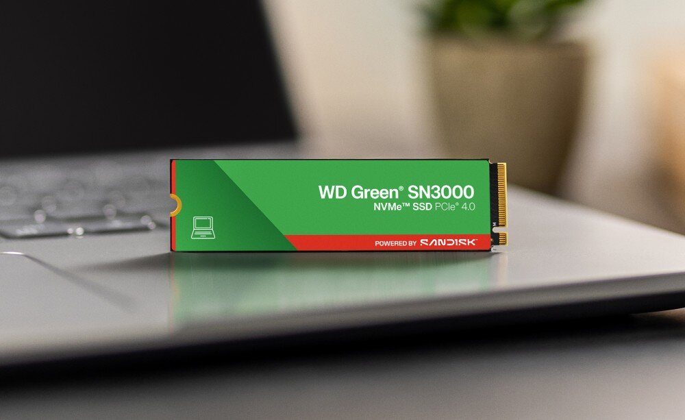Na obrazie widoczny jest dysk SSD z napisem \'WD Green SN3000 NVMe SSD PCIe 4.0\' oraz logo \'SANDISK\'. Dysk leży na otwartym laptopie, a w tle znajduje się rozmyta roślina.