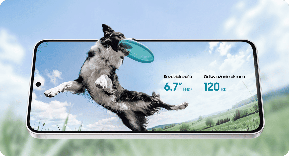 Na ekranie smartfona widać psa skaczącego z frisbee na tle nieba i zielonego krajobrazu. Obok psa znajduje się tekst: \'Rozdzielczość 6.7\